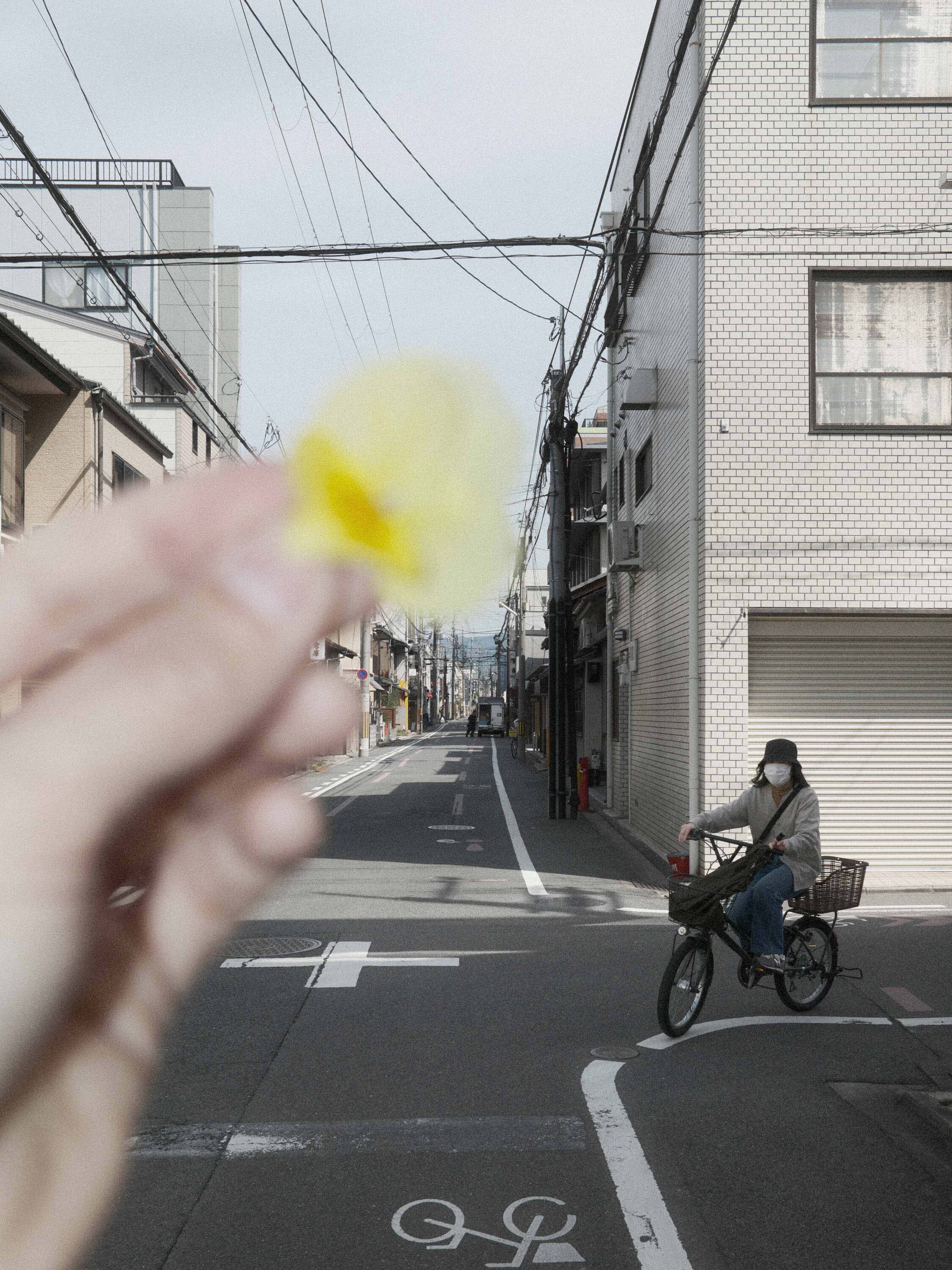 WREN_Marcus Palmqvist_Japan_DSCF0787_Scaled