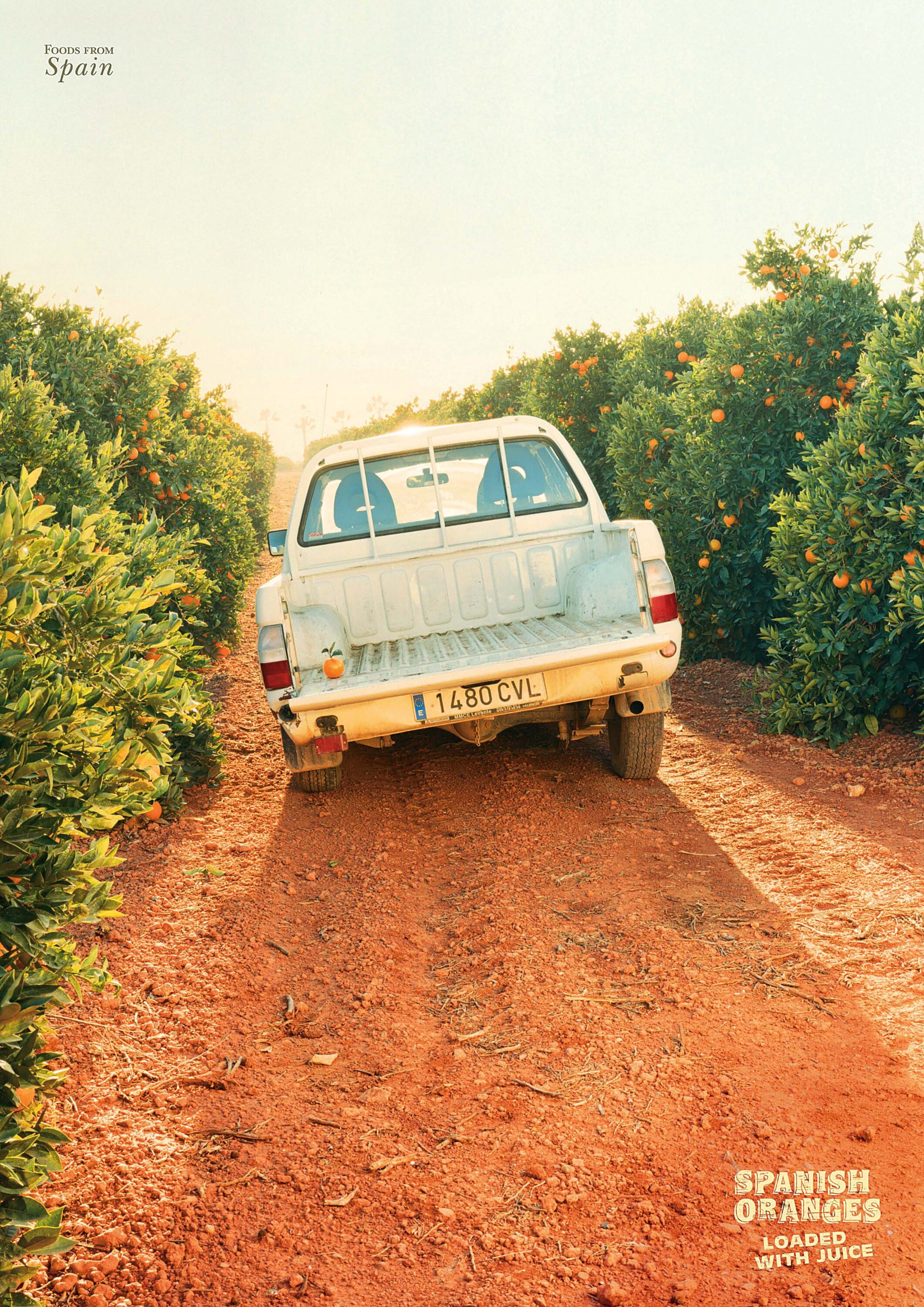 WREN_Nick Meek_Truck more col copy